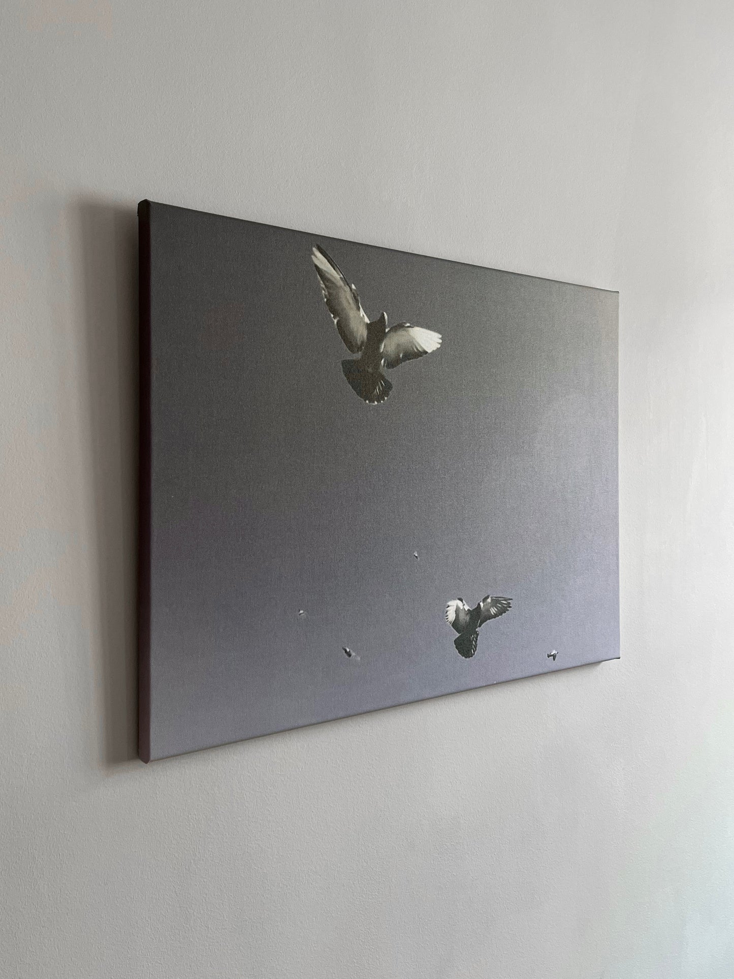 Untitled (doves) By Mira Hansen