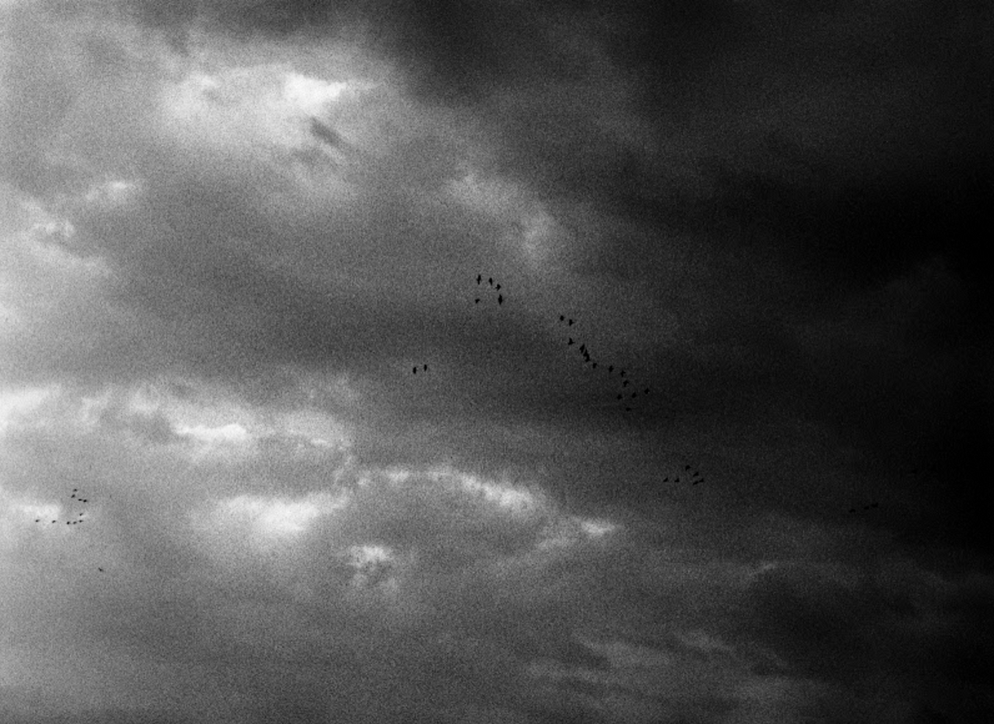 Untitled (clouds)