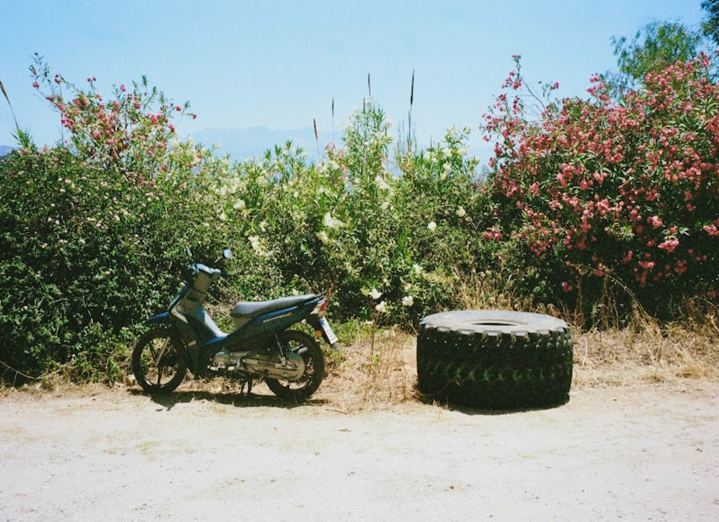 Greece 2024