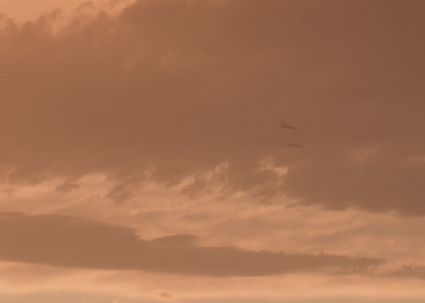 Amber Sky