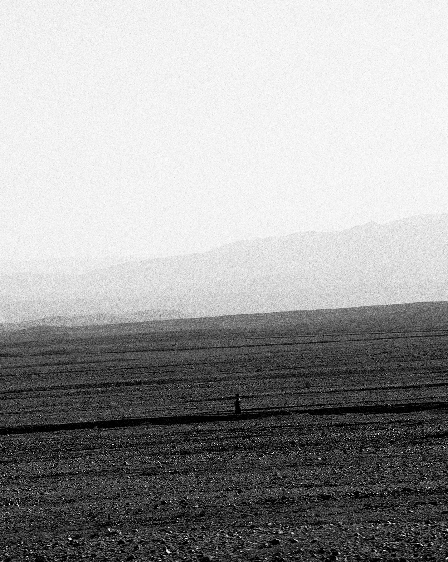 Untitled (#1)