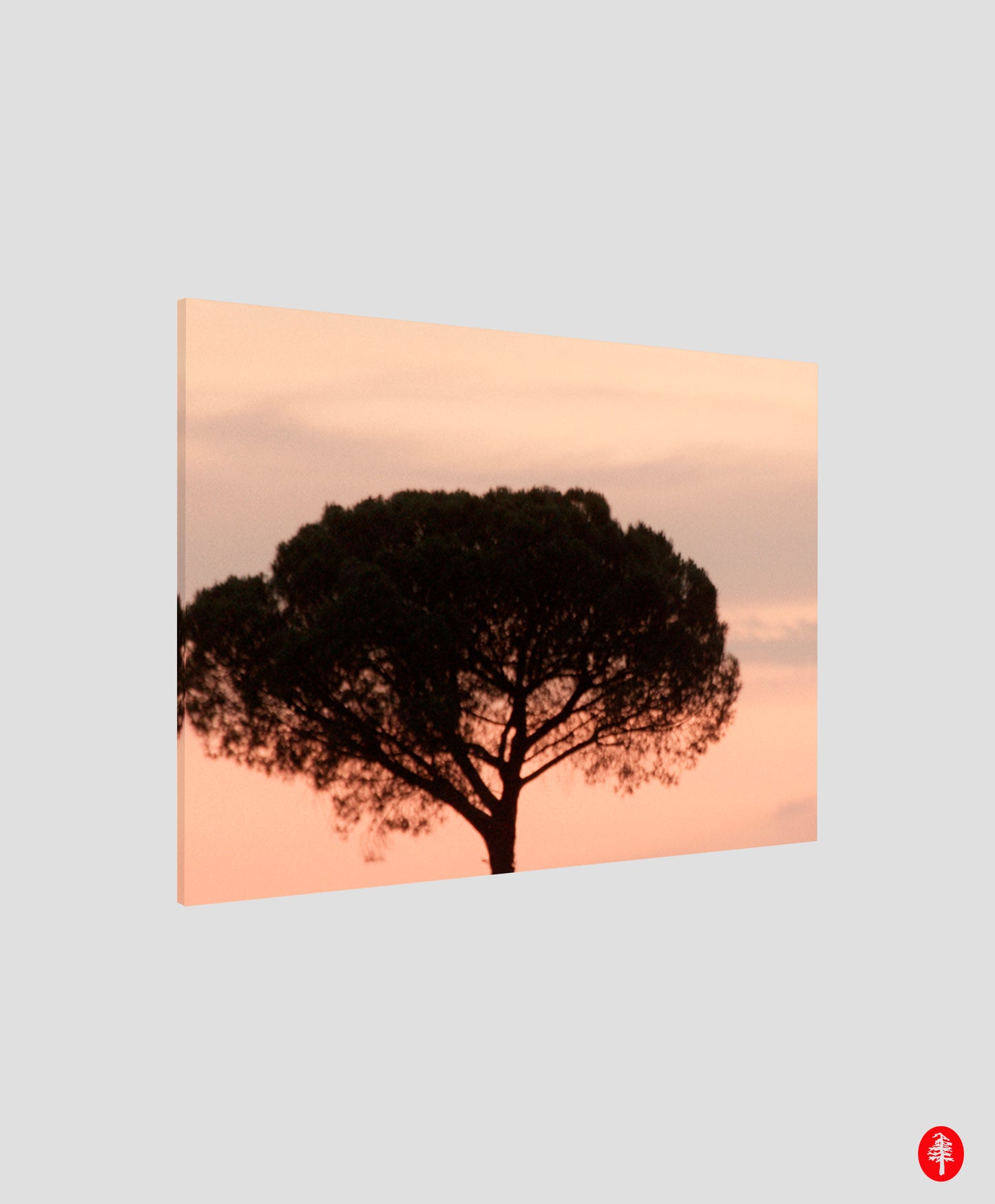 Amber Tree